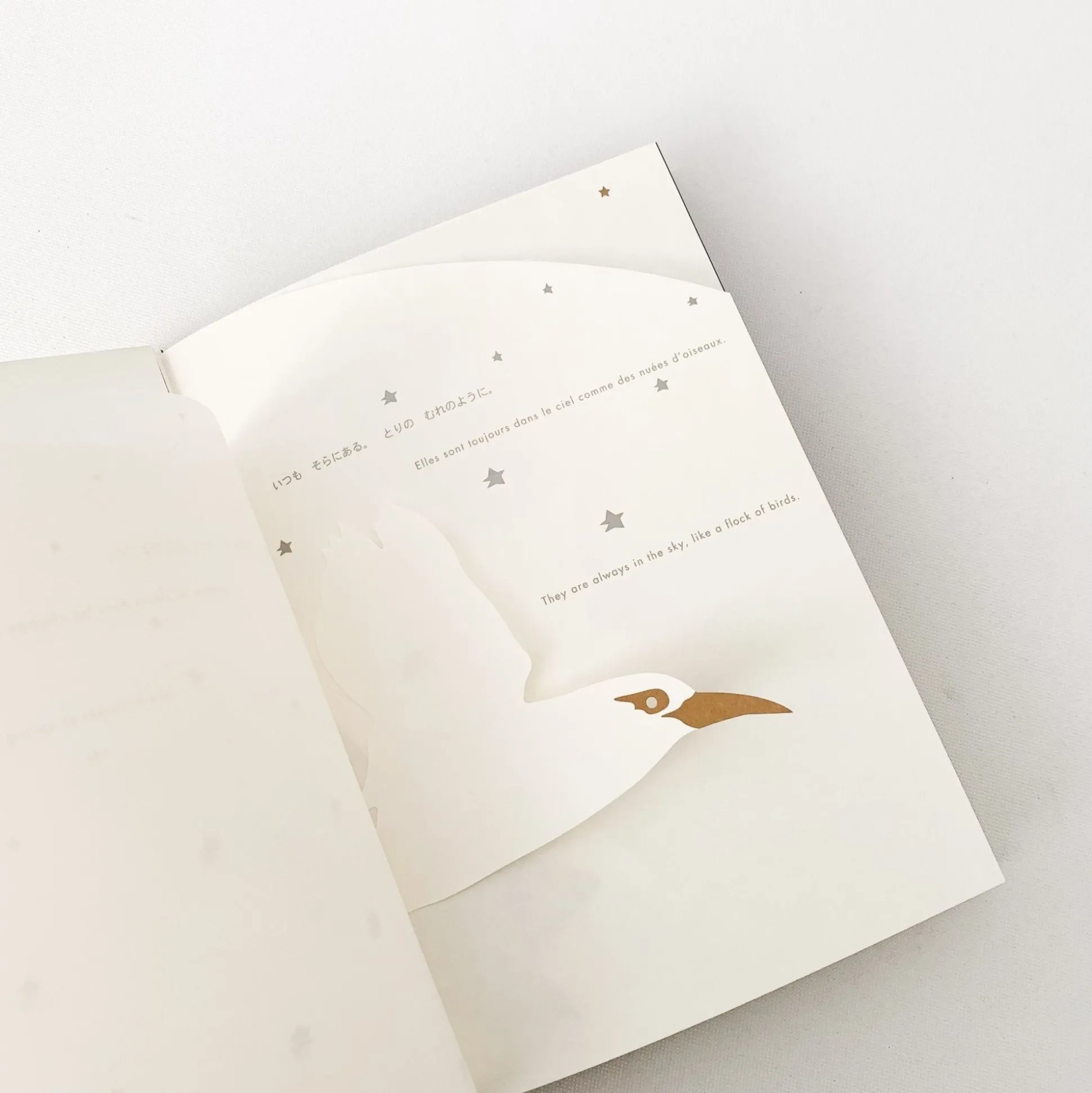 A Place Where Stars Rest' By Katsumi Komagata