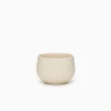 Chanoma Ivory Tea Cup [4-543]