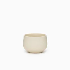 Chanoma Ivory Tea Cup [4-543]