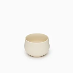Chanoma Ivory Tea Cup [4-543]