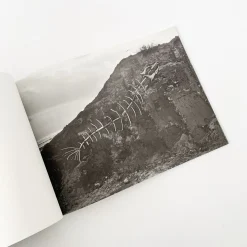 Driftwood Dinosaurs' By Mitsuru Koga