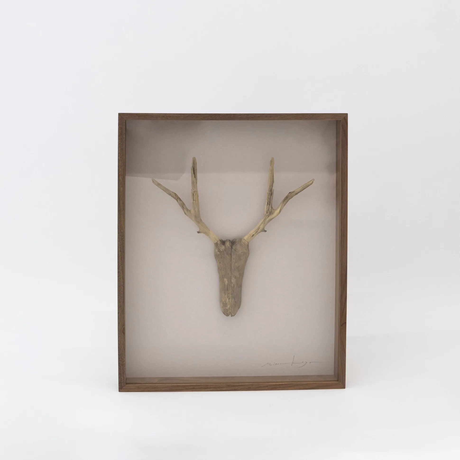 Driftwood Hunting Trophy #3 (2024) By Mitsuru Koga