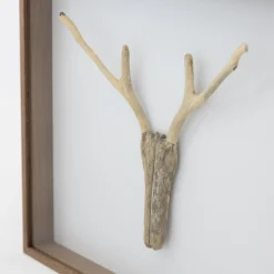 Driftwood Hunting Trophy #1 (2024) By Mitsuru Koga