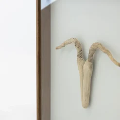 Driftwood Hunting Trophy #5 (2024) By Mitsuru Koga