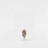 Fallen Leaves (2024) By Mitsuru Koga