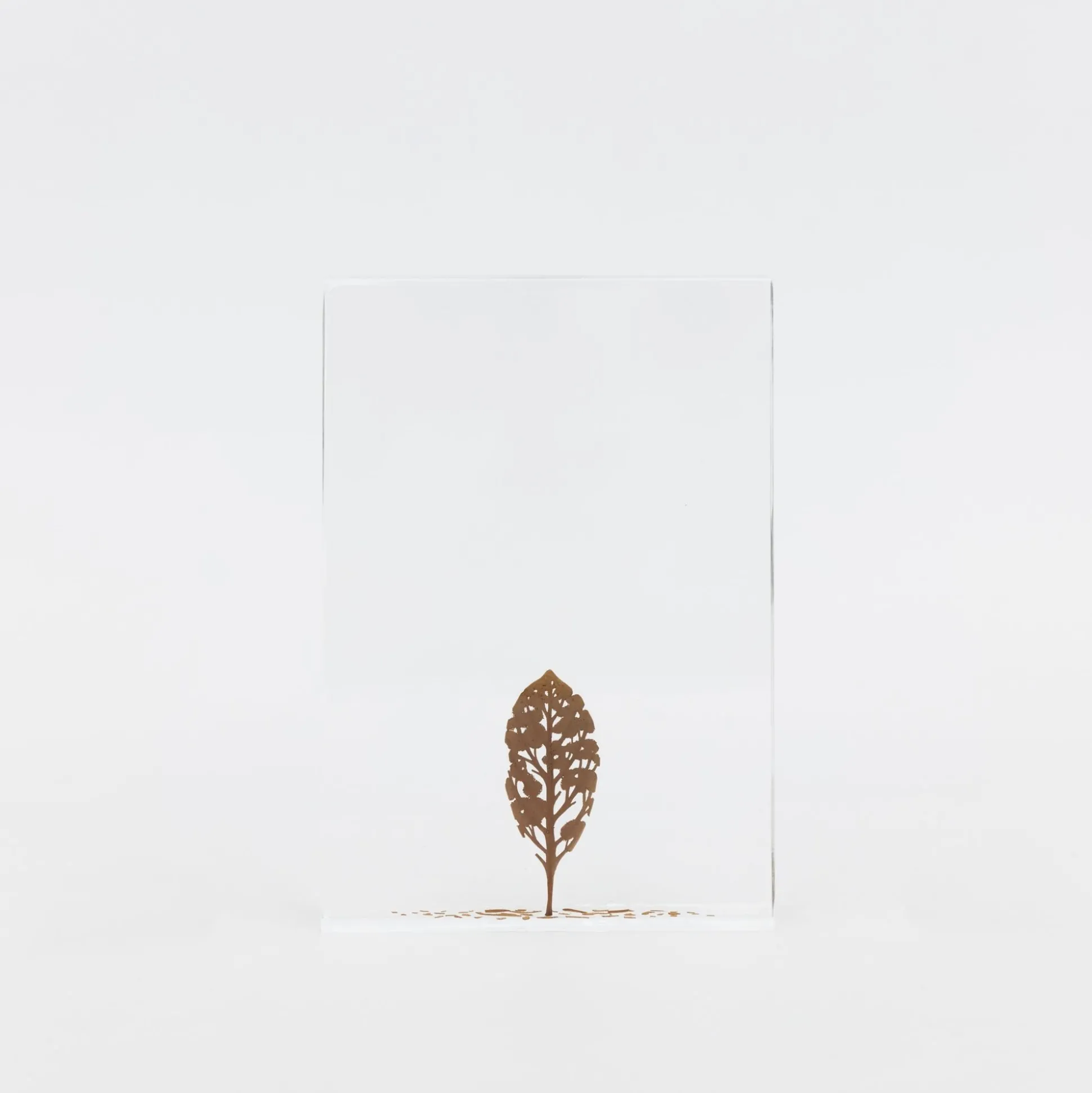 Fallen Leaves (2024) By Mitsuru Koga