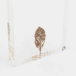 Fallen Leaves (2024) By Mitsuru Koga