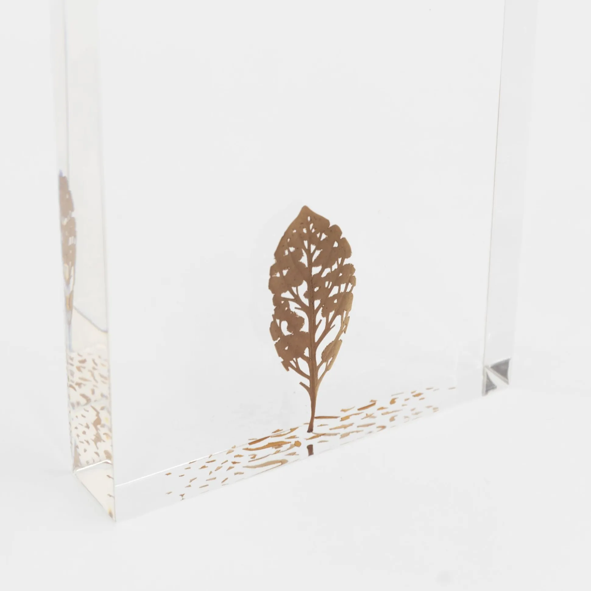 Fallen Leaves (2024) By Mitsuru Koga