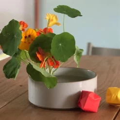 Kenzan Flower Frogs
