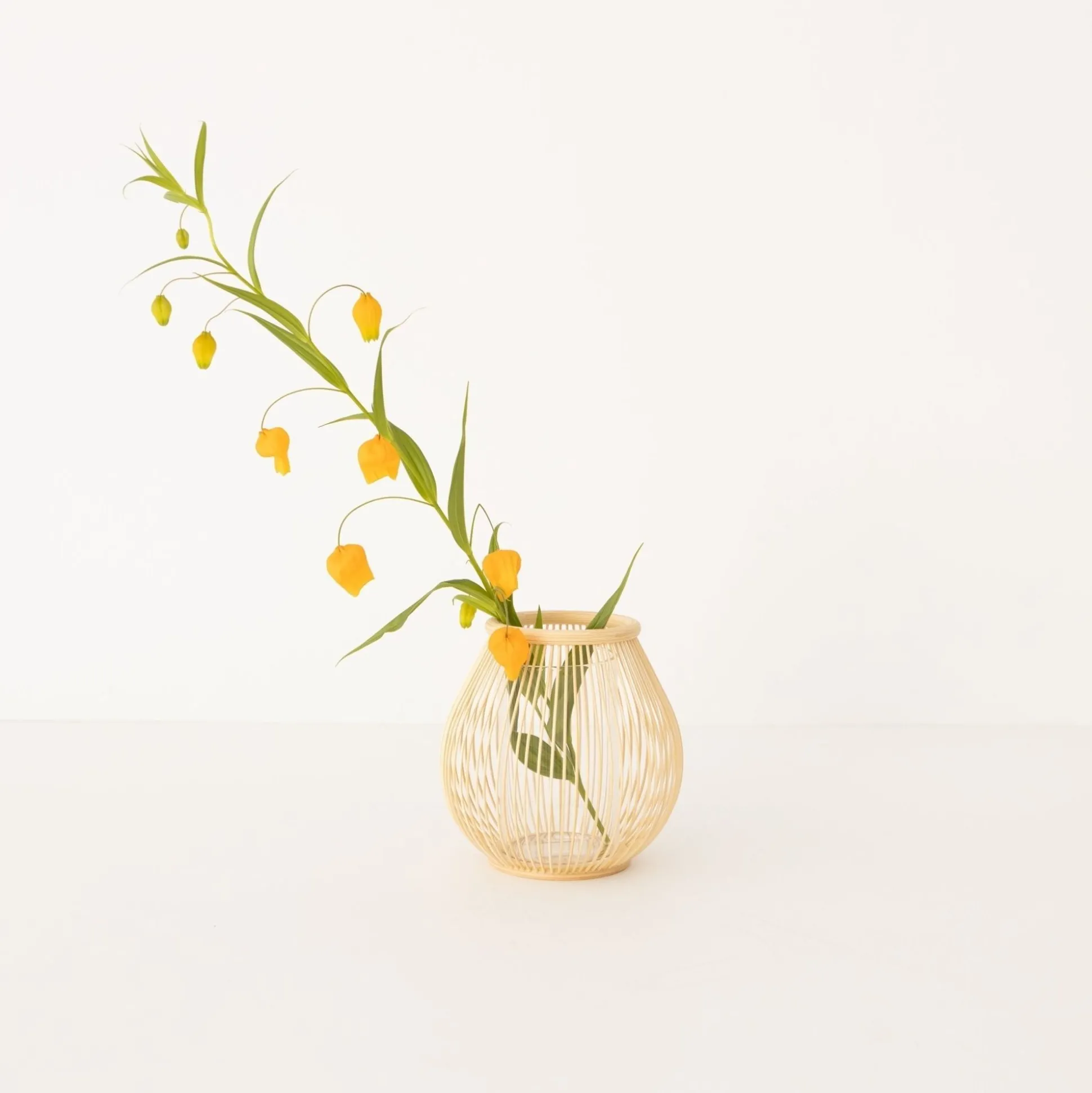 Kosuga Bamboo Flower Vase - Tsubomi
