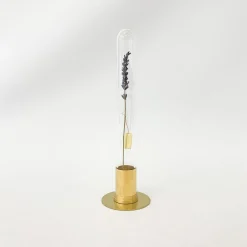 Picus Brass Terrarium