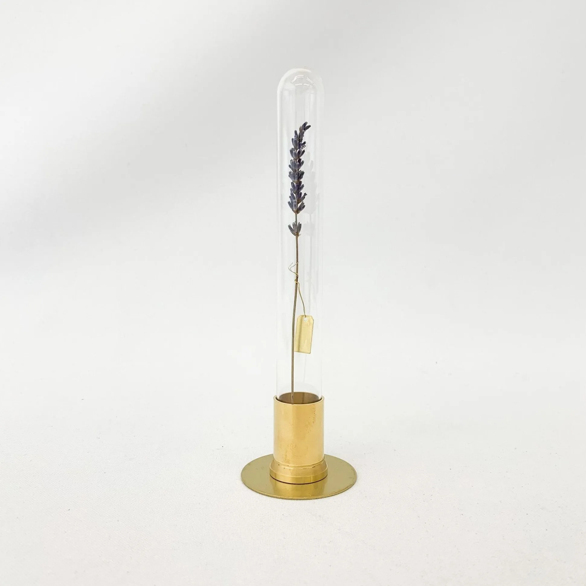 Picus Brass Terrarium