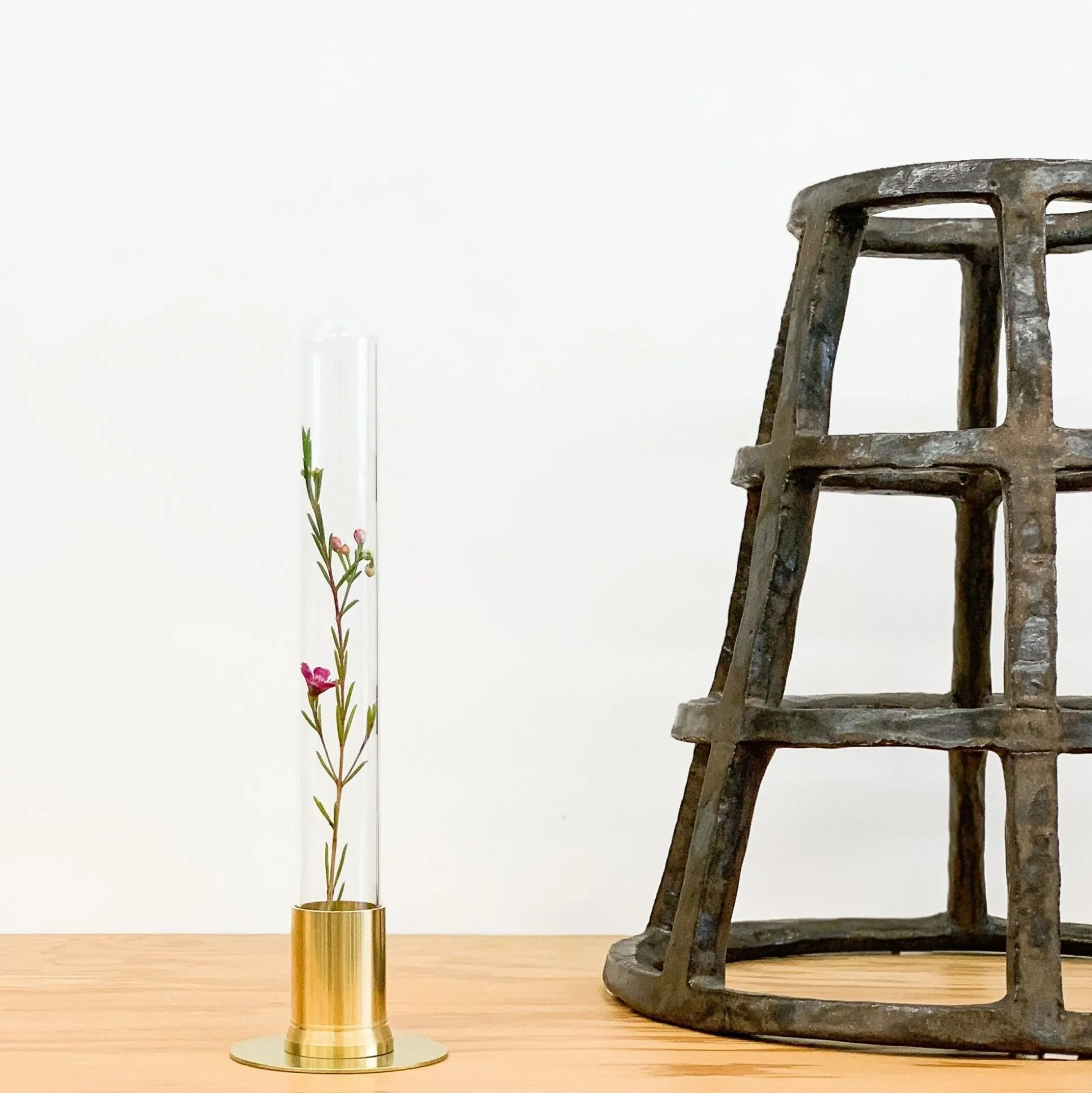 Picus Brass Terrarium