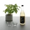 Sake Gift Set - Mb Junami Genshu + 2 Glasses