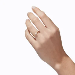 Shihara Classic Ring 02