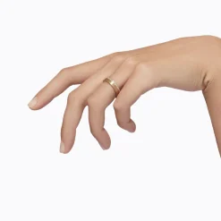 Shihara Trine Ring 01