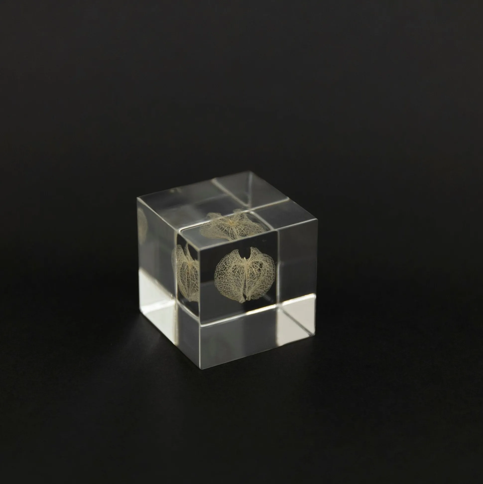 Sola Cube - Apple Of Peru