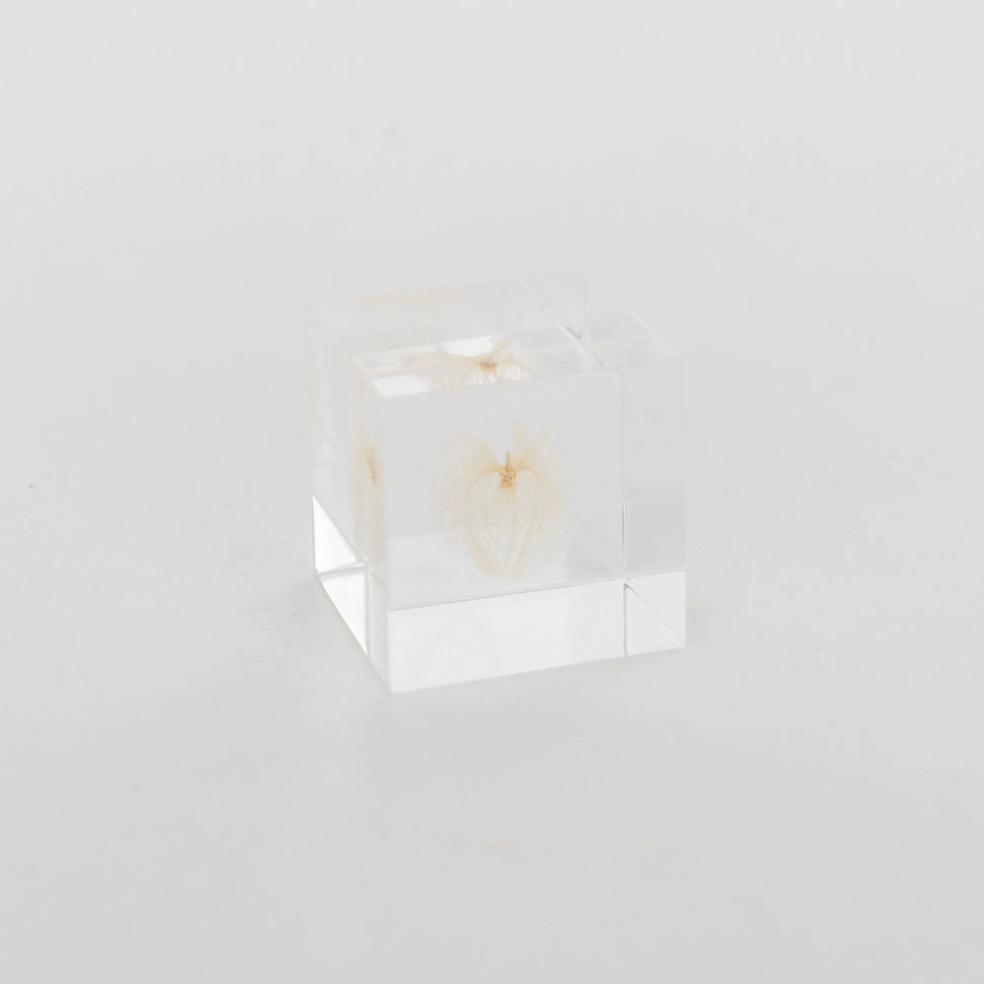 Sola Cube - Apple Of Peru