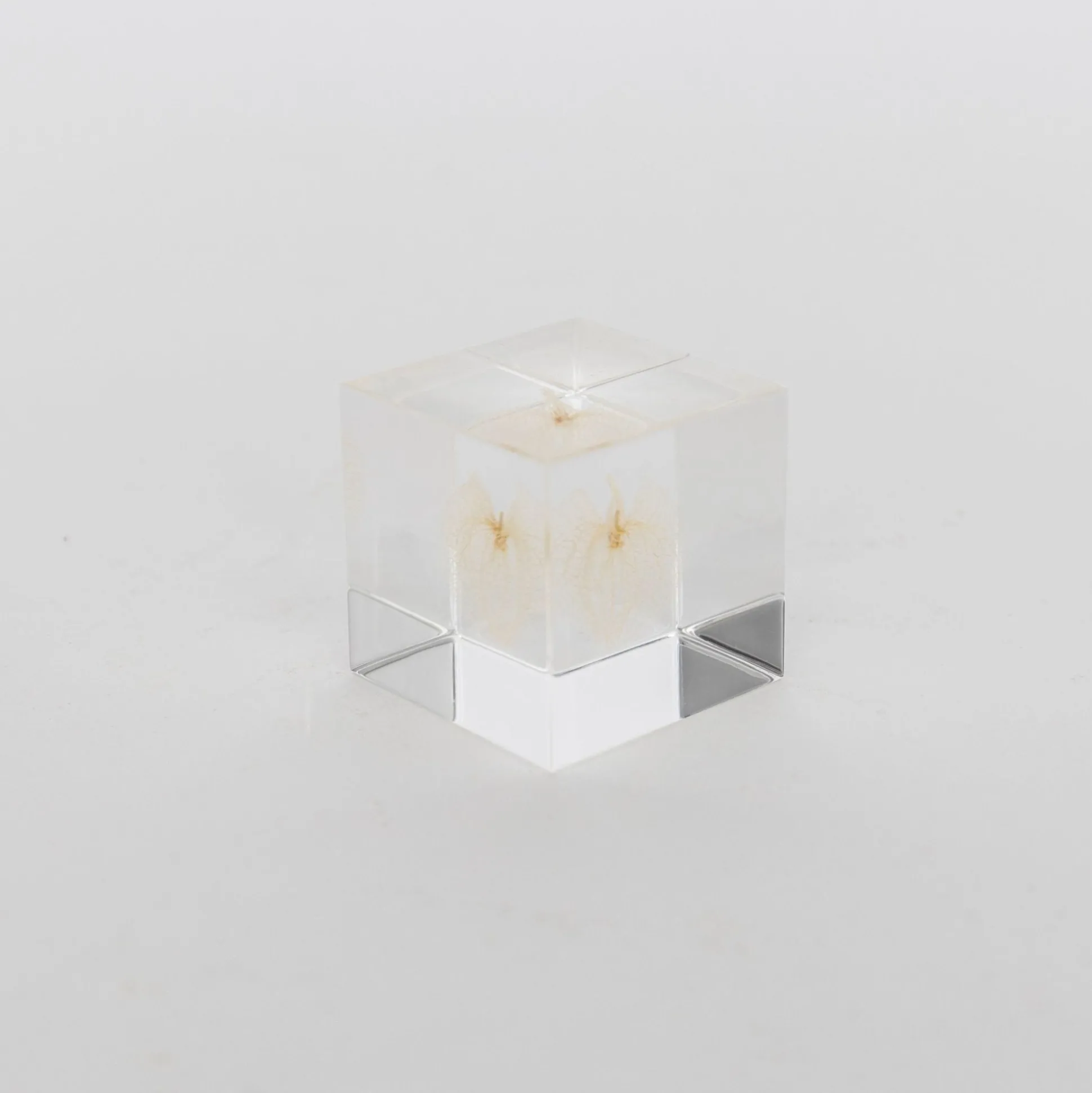 Sola Cube - Apple Of Peru