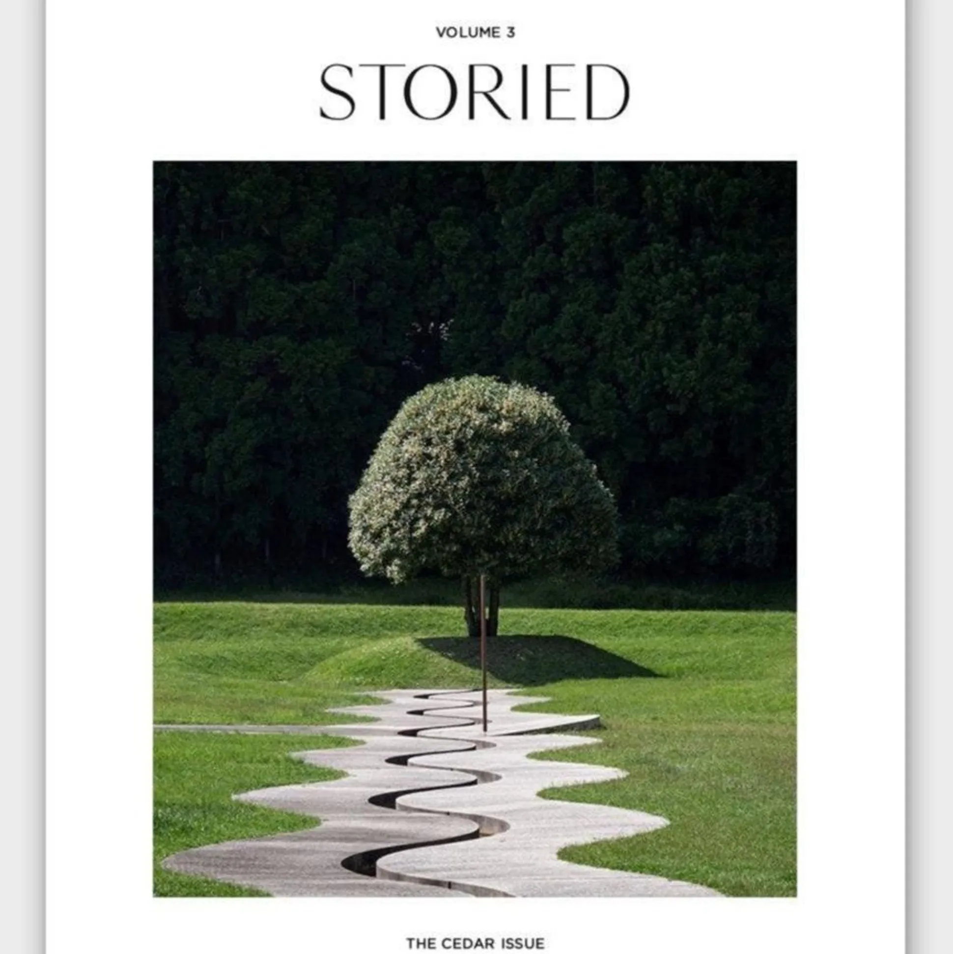 Storied - 2021 Collection