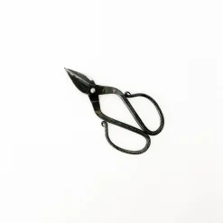 Tajika Branch Scissors